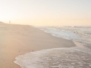 Cisco Sunflare Original